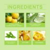 81E39CD8FAAAC11F2F8D6A6018F074CD.jpg Green Tea Foam Cleanser